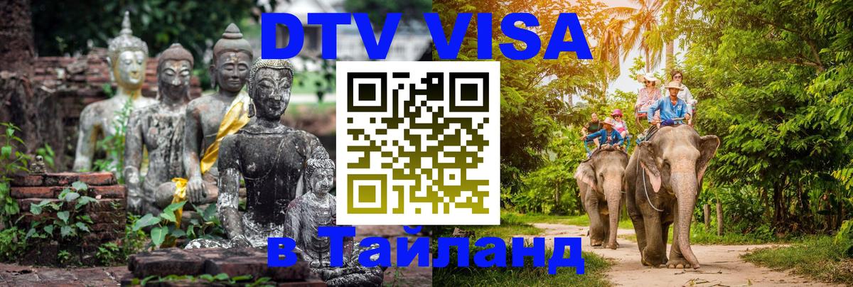 Сколько стоит DTV виза — актуальные цены, оформление даже без документов - Архангельск  07.01.2026 